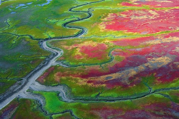 Tidal flats, Katmai National Park, Alaska