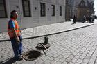 Opening all the manholes around Hradčanské Square