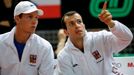 Čeští tenisté Radek Štěpánek a Tomáš Berdych při čtyřhře v semifinále Davis Cupu.