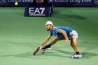 Tenista Macháč druhý sobotní zápas nezvládl a v Houstonu vypadl ve čtvrtfinále