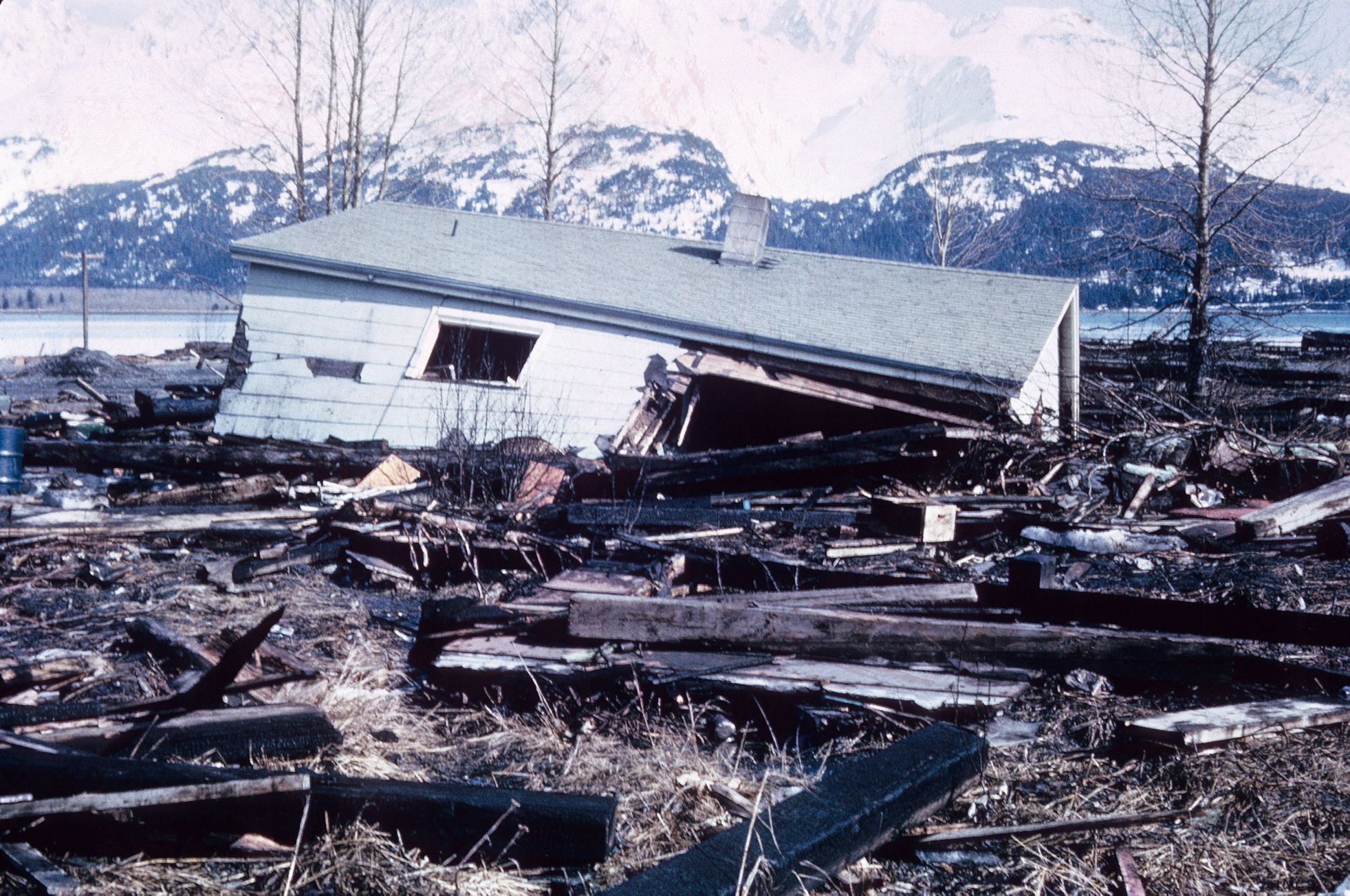 Сильнейшие землетрясения в америке. Землетрясение на Аляске 1964. ЦУНАМИ на Аляске 1958. ЦУНАМИ на Аляске 1964. Великое Аляскинское землетрясение 1964.
