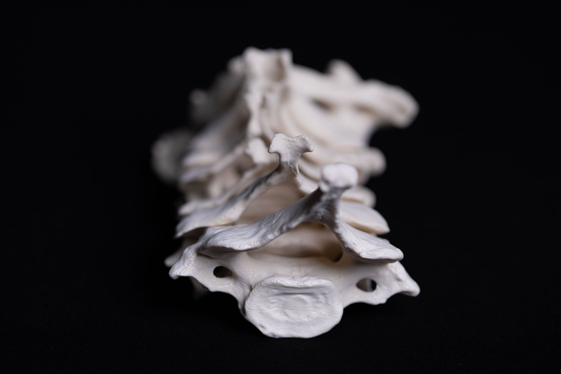 3D tisk lidské tělo