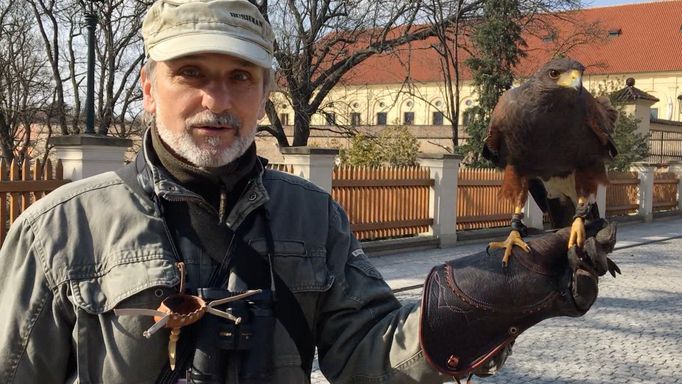 Hradní sokolník Ladislav Hokr chrání Pražský hrad již 6 let