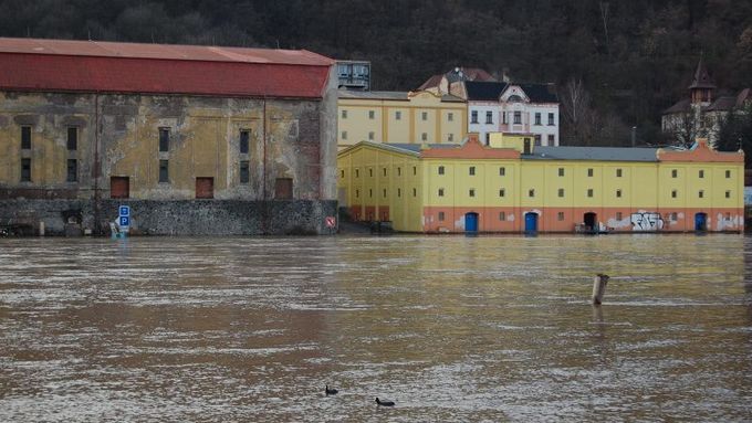 Labe v Ústí nad Labem