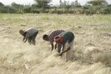 Čtyřiaosmdesát procent etiopské populace se živí zemědělstvím. Většina obyvatel zdejších vesnic nebyla dál než v 10 kilometrů vzdáleném správním městě Alaba Kulito čítajícím deset tisíc obyvatel.