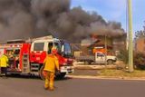 Australský Nový Jižní Wales už řadu dní sužují lesní požáry.