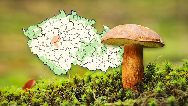  Aktuálně.cz
