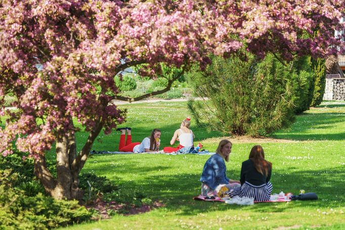 Pražské jaro v rouškách. První den v znovu otevřené zoo, lidé v botanické zahradě