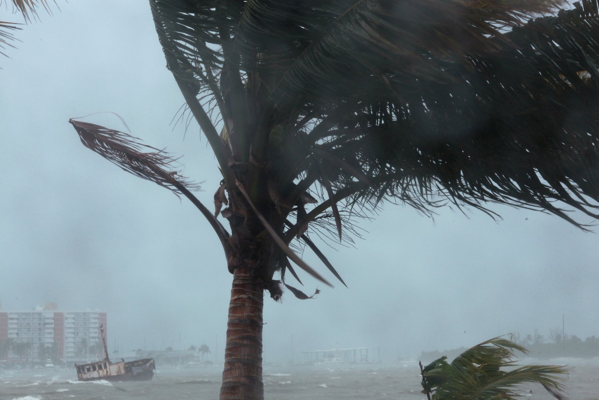 Hurikán Irma, září 2017, Portoriko