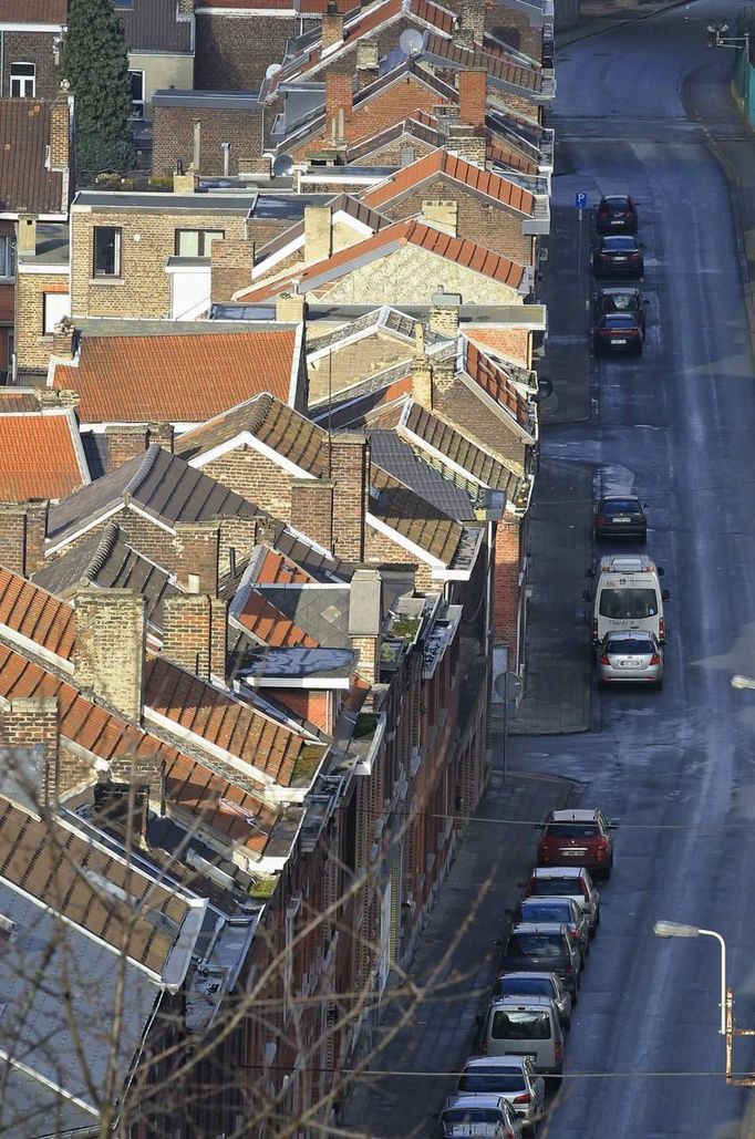 A view of private houses near the ArcelorMittal high furnace of Ougree, near Liege January 28, 2013. ArcelorMittal the world's largest steel producer, plans to shut a coke plant and six finishing lines at its site in Liege Belgium, affecting 1,300 employees, the group said on last week. REUTERS/Yves Herman (BELGIUM - Tags: BUSINESS CIVIL UNREST BUSINESS EMPLOYMENT) Published: Led. 28, 2013, 3:02 odp.