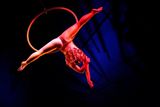 Člen kanadského cestujícího souboru Cirque du Soleil - "Slunečního cirkusu" na charitativním představení pro děti v Tchaj-peji. Cirque du Soleil je popisován jako moderní cirkus, kromě pozoruhodných vystoupení však klade důraz i na příběh svých představení. Vychází z tradice klasických cirkusů, nepoužívá však při představení zvířata.