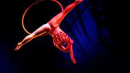 Člen kanadského cestujícího souboru Cirque du Soleil - "Slunečního cirkusu" na charitativním představení pro děti v Tchaj-peji. Cirque du Soleil je popisován jako moderní cirkus, kromě pozoruhodných vystoupení však klade důraz i na příběh svých představení. Vychází z tradice klasických cirkusů, nepoužívá však při představení zvířata.