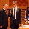 Zeman v senátu