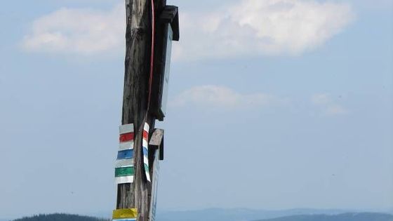 Ročenka 2008: To nejdůležitější ze světa přírody