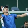 Finále Davis Cupu . Tomáš Berdych a Nicolas Almagro