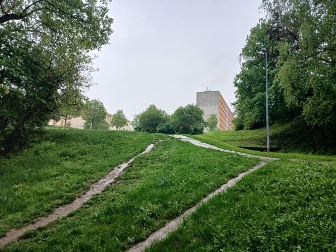 Lesní rokle poblíž ulice Novodvorská.