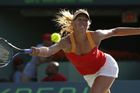 V letošní sezoně už se podobný kousek povedl Marii Šarapovové, která na French Open zničila bez ztráty hry Rumunku Alexandru Cadantuovou.
