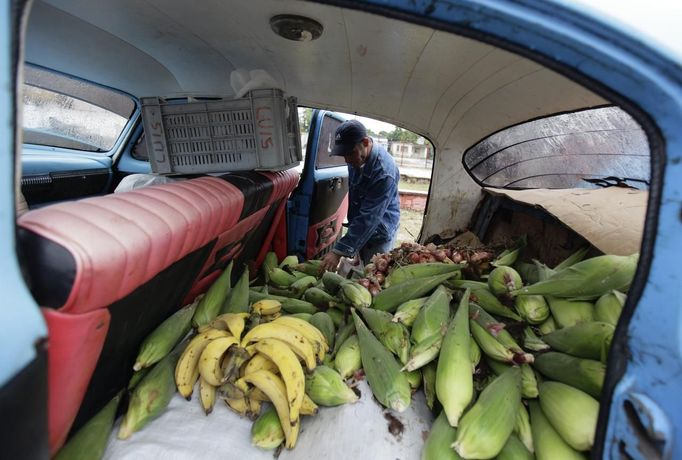 Luis Salgado, nicknamed Chucho, picks corn to buy from the back of a vendor's car at a market in the village of Sagua La Grande in central Cuba, March 2, 2013. Chucho was granted a U.S. visa based on his father's status as legal resident in Texas, and he was reunited in Miami with his father, Jesus Salgado, who had escaped Cuba on a frail boat ten years earlier. The Salgados are among many Cubans taking advantage of Cuba's new travel policy in place since last January, which allows citizens to leave the country with just a passport and no need for much-hated exit visas required since 1961. Picture taken March 2, 2013. REUTERS/Desmond Boylan (CUBA - Tags: POLITICS SOCIETY) Published: Dub. 11, 2013, 2:06 odp.