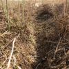 Špatné obhospodařování půdy způsobuje půdní erozi - tedy odstranění kvalitní ornice větrem nebo působením vody. Na fotografii je erozní rýha v řepkovém strništi na Vyškovsku.