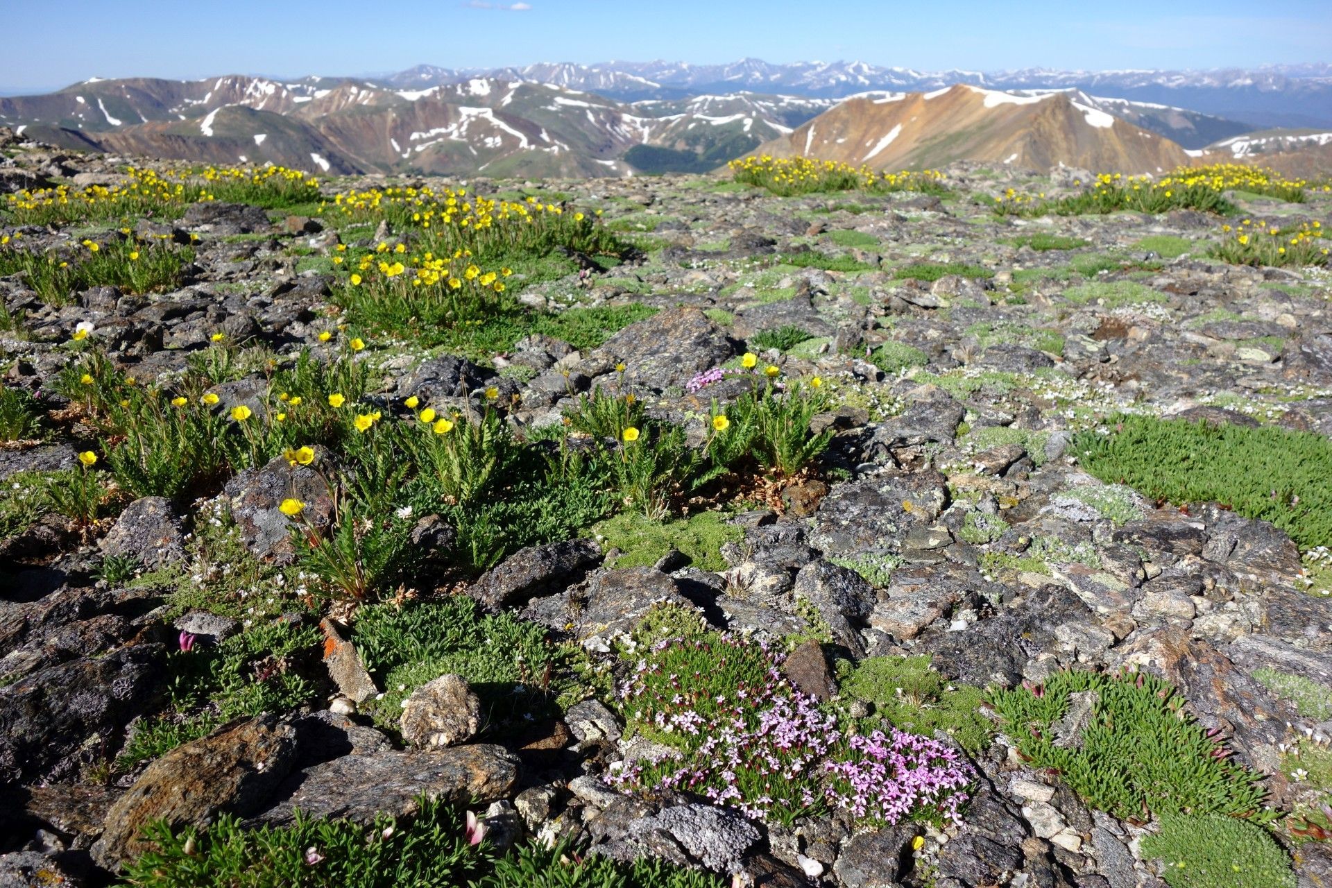 Petr Kosek, cestování, Amerika
