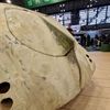 Škoda Auto na Retromobile 2025