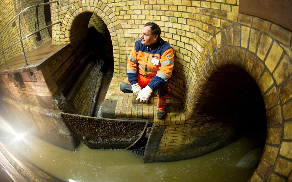 Fotogalerie: Nejsmrdutější práce na světě