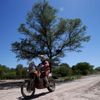 Rallye Dakar 2017, 2. etapa: Toby Price, KTM
