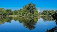 Zámecký rybník se rozprostírá mezi zámkem Lednice a Minaretem. Rok 2010.