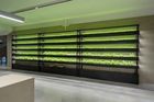 Součástí kavárny v nové budově je takzvaná hydroponická stěna, ze které se dá zakoupit salát.