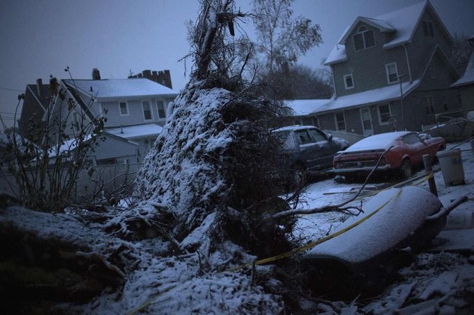 Snow covers a fallen tree in a neighborhood which was left destroyed by Hurricane Sandy in the Staten Island borough of New York November 7, 2012. A wintry storm dropped snow on the U.S. Northeast on Wednesday and threatened to bring dangerous winds and flooding to a region still climbing out from the devastation of Superstorm Sandy. The Nor'easter storm added misery to thousands of people whose homes were destroyed by Sandy, which killed 120 people when it smashed ashore on October 29 in the New York-New Jersey area, swallowing entire neighborhoods with rising seawater and blowing homes from their foundations. REUTERS/Adrees Latif (UNITED STATES - Tags: DISASTER ENVIRONMENT) Published: Lis. 7, 2012, 10:55 odp.