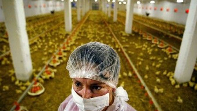 Rumunsko, které již vynaložilo více než 15 milionů eur (450 milionů Kč) na boj proti ptačí chřipce, se obává dopadů epidemie na turistický ruch, který je podstatným zdrojem příjmů do státního rozpočtu