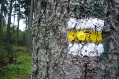 Hradecké městské lesy chtějí přitáhnout veřejnost