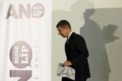Babiš míří na vicepremiéra. Blíží se to Agrofertu, říká