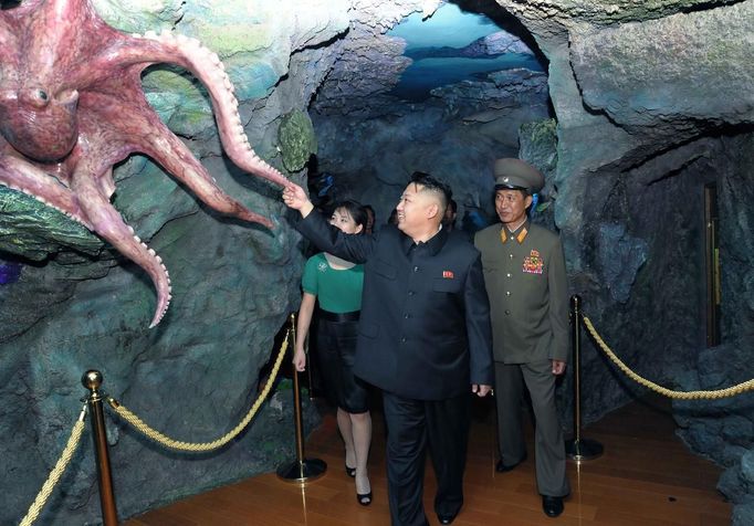 North Korean leader Kim Jong-Un (C) and his wife Ri Sol-Ju attend the opening ceremony of the Rungna People's Pleasure Ground on Rungna Islet along the Taedong River in Pyongyang in this July 25, 2012 photograph released by the North's KCNA to Reuters on July 26, 2012.The Rungna People's Pleasure Ground has attractions such as a dolphinarium, a wading pool, a fun fair and a mini golf course, according to KCNA. REUTERS/KCNA (NORTH KOREA - Tags: POLITICS SOCIETY) FOR EDITORIAL USE ONLY. NOT FOR SALE FOR MARKETING OR ADVERTISING CAMPAIGNS. THIS IMAGE HAS BEEN SUPPLIED BY A THIRD PARTY. IT IS DISTRIBUTED, EXACTLY AS RECEIVED BY REUTERS, AS A SERVICE TO CLIENTS. NO THIRD PARTY SALES. NOT FOR USE BY REUTERS THIRD PARTY DISTRIBUTORS Published: Čec. 26, 2012, 3:47 dop.