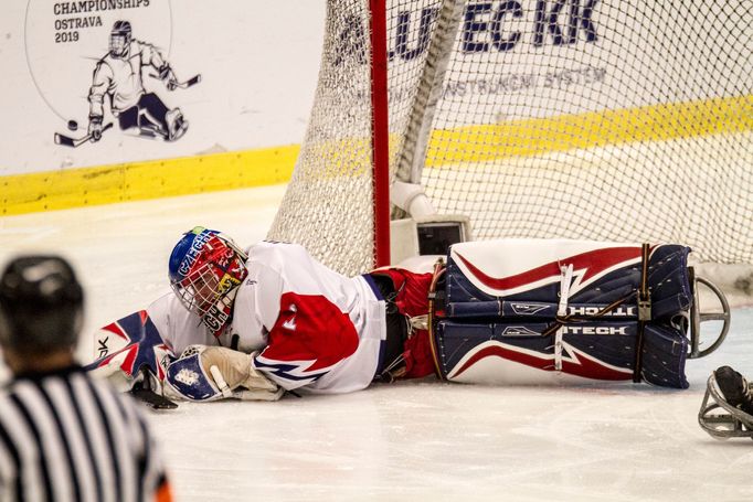 MS v parahokeji v Ostravě 2019, semifinále Česko - USA: Martin Kudela