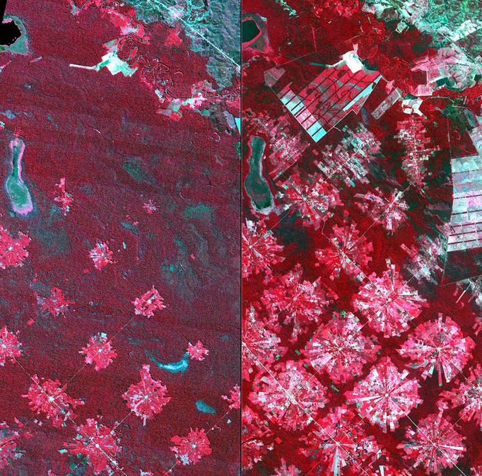 http://climate.nasa.gov/state_of_flux#Deforestation_Bolivia.jpg Deforestation, Bolivia Near Santa Cruz de la Sierra, Bolivia. Left: August 4, 1986. Right: August 11, 2001