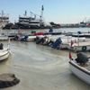 Turecký přístav pokryla "mořský plíseň"