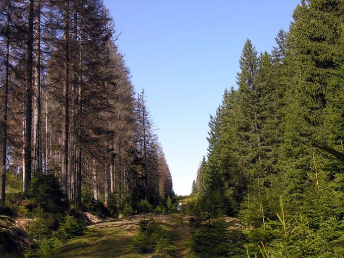 Nad vltavskou cestou. Bývala tu železná opona.