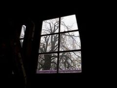 Pohled z podkrovního okna, u kterého Anna Franková sedávala více než dva roky.