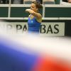 Fed Cup 2017: Barbora Strýcová