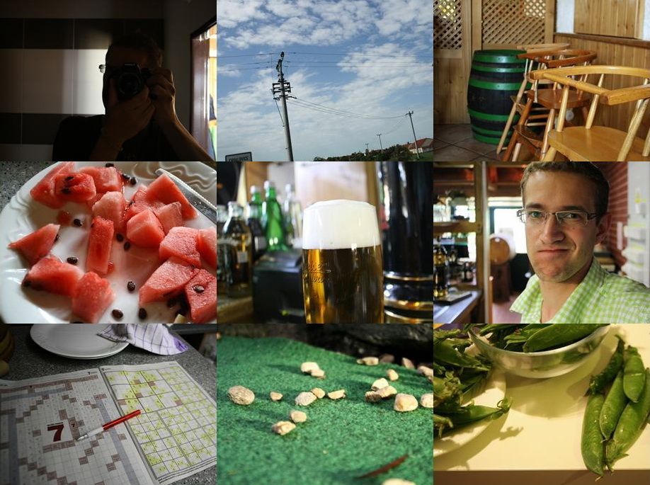 Week of Life - Petr Pink - 21.6.12 - cover