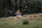 Český soběstačný dům stojí na pozemku, který obklopují pastviny a les. V širém okolí jsou jen zchátralé zemědělské usedlosti.