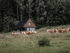 Idylický dům rodiny stojí v jižních Čechách.