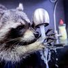 Zvířata, Reuters, Top fotografie roku 2022, výběr, nejlepší foto, Lifestyle