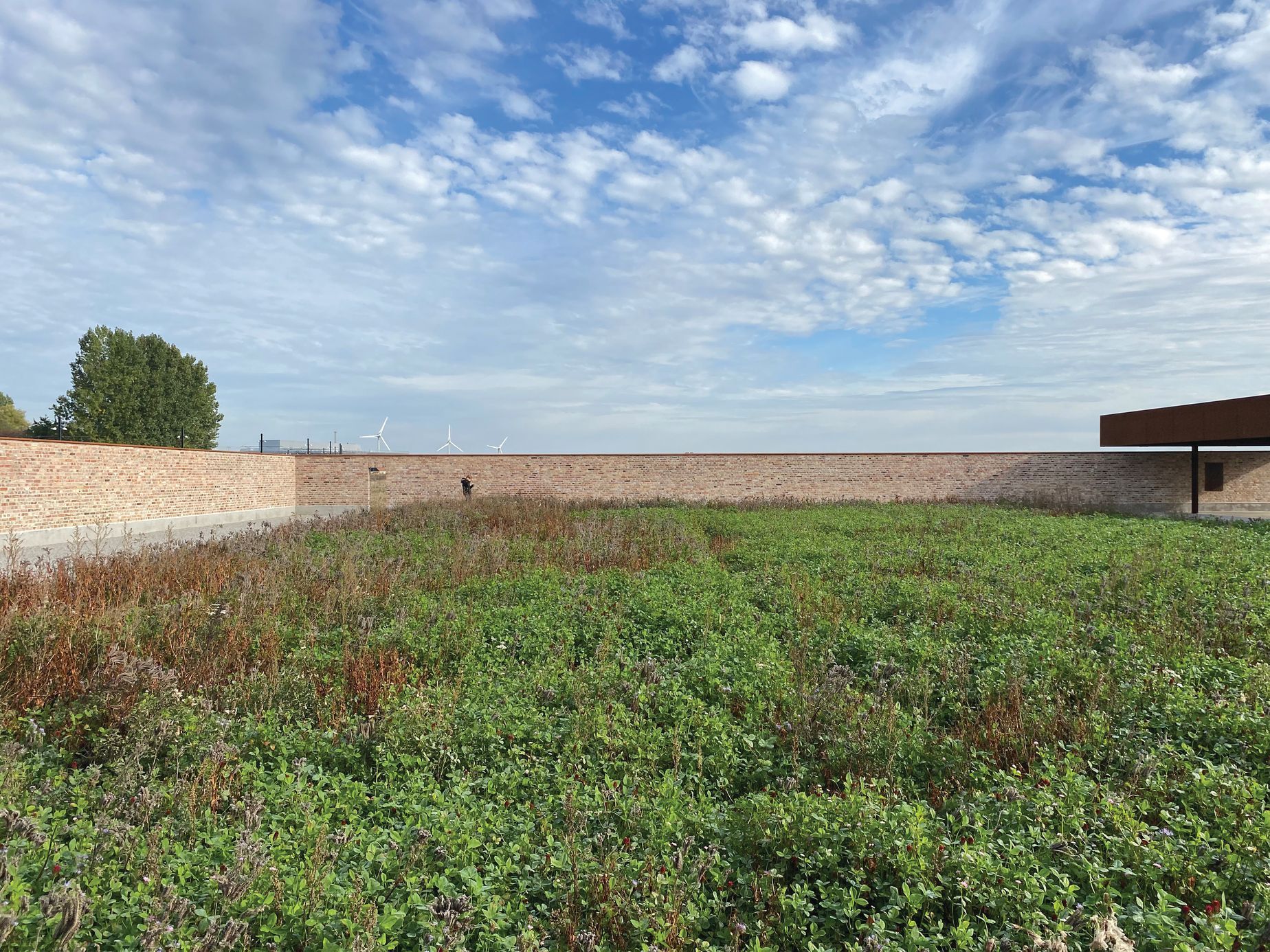 Veřejný prostor, architektura, design, CAMP