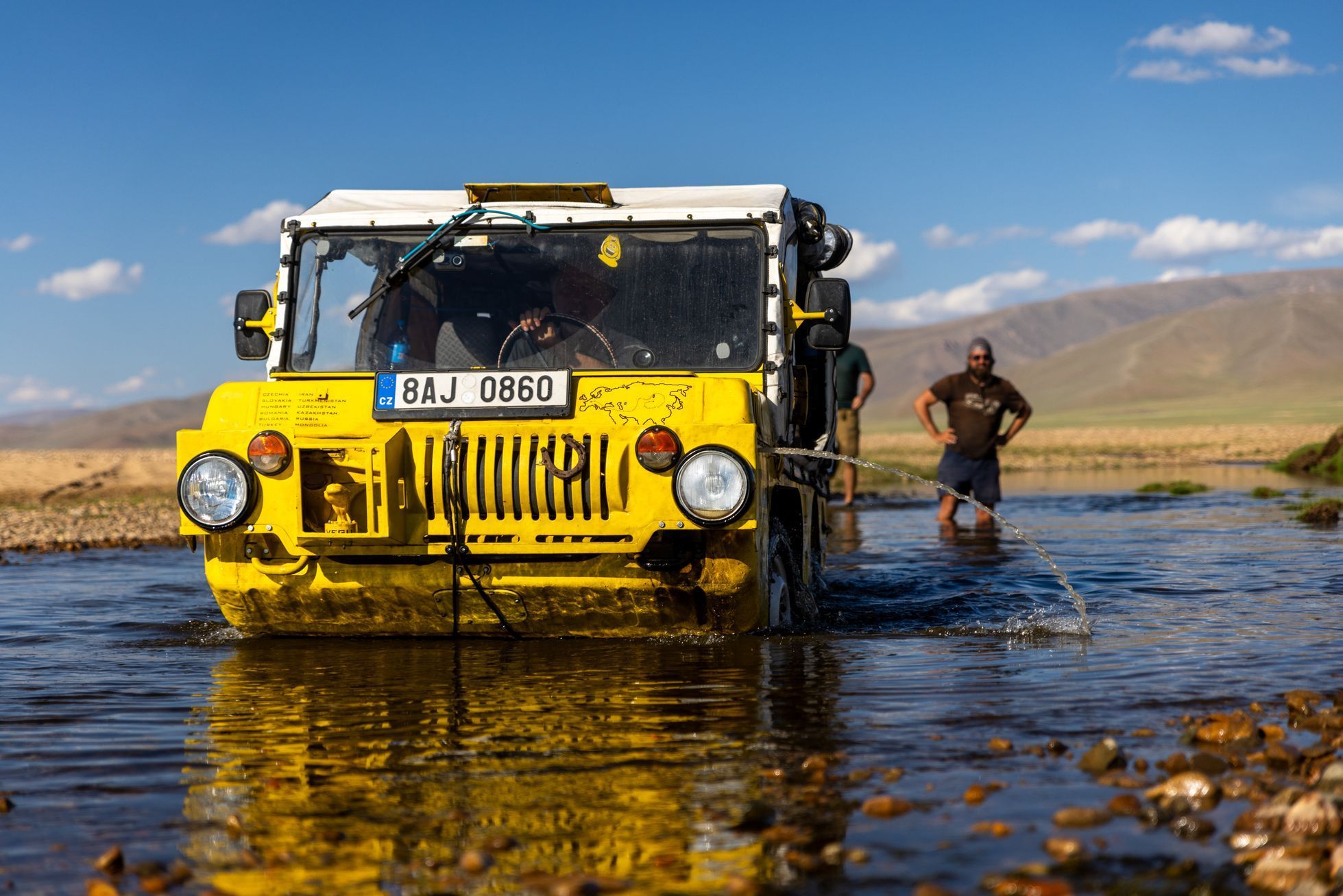 Žlutá žába pluje