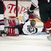 Herbert Slavík: hvězdy českého hokeje, fotoreportáž z NHL v době před OH v Naganu a snímky z Nagana