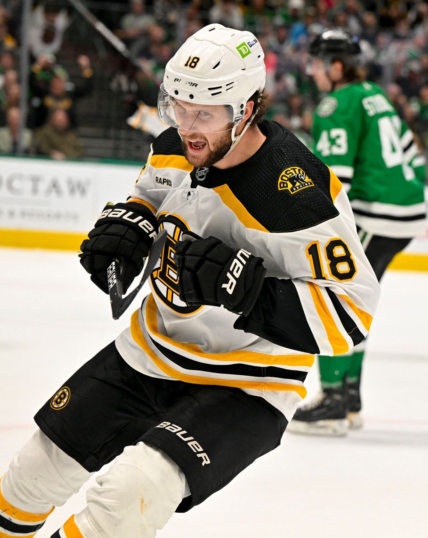 Boston Bruins NHL hokej Zacha