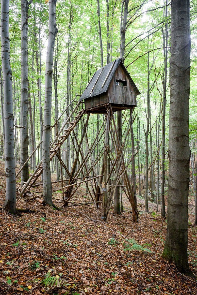 Lovec posedů / Fotogalerie / Posedy jak je určitě neznáte. Nechte se uhranout géniem myslivecké tvořivosti