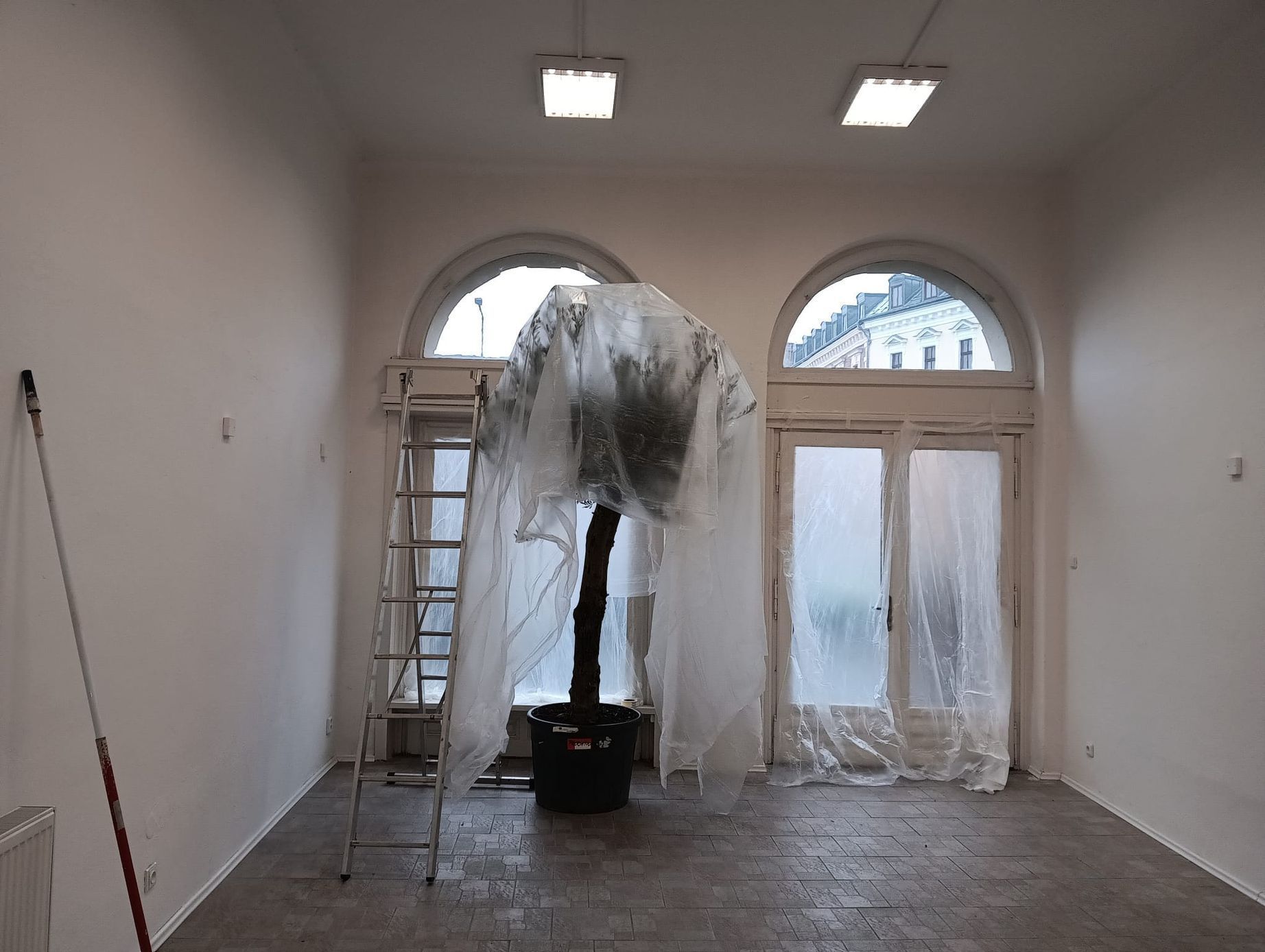 Agapi mou taverna Jablonec olivovník